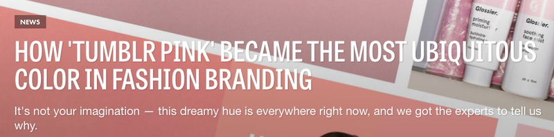 Illustration for article titled Millennial Pink Fires Back at Her Haters: 'Everyone in This Industry Comes and Goes'
